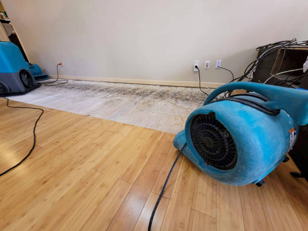 Reliable Structural Drying And Dehumidification contractor in Linden, NJ by Hirex Water Damage