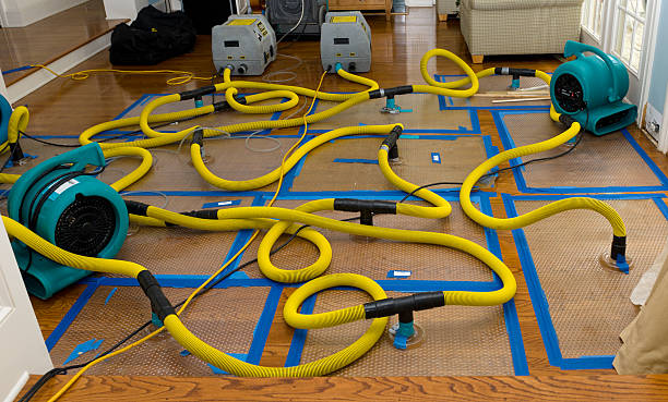 Professional Structural Drying And Dehumidification technician working in Linden, NJ
